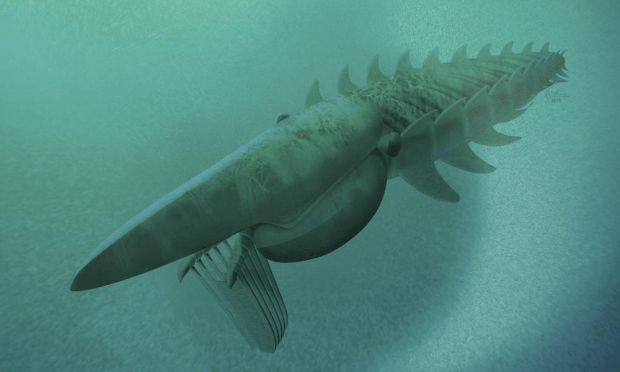 모로코에서 발견된 화석으로부터 재구성한 여과섭식동물 아이기로카시스 벤모울라이의 모습. Photograph: Marianne Collins/ReutersPress Association 