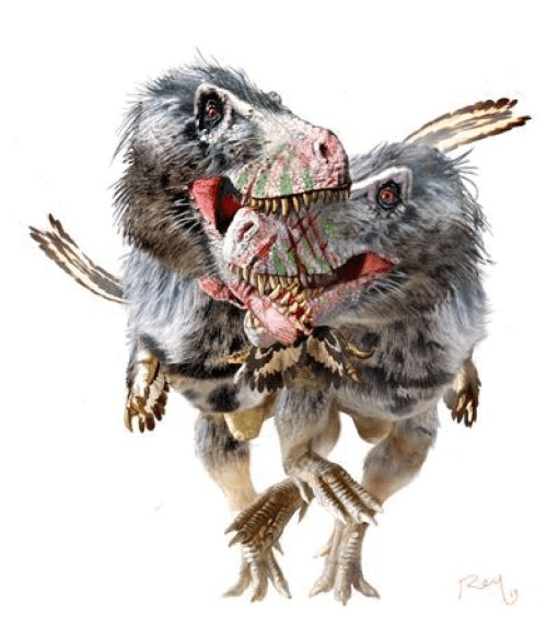 다스플레토사우루스 두 마리가 싸우는 장면을 복원한 그림. Credit: Copyright Luis Rey