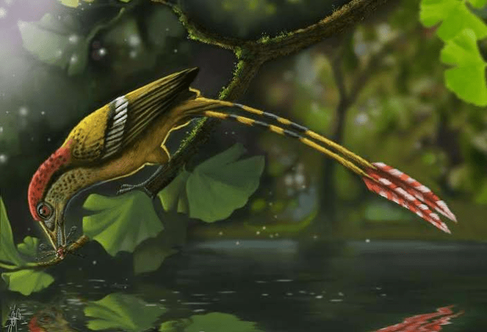 브라질 아라리페 분지에서 발견된 백악기 화석 조류의 복원도. Credit: Deverson Pepi