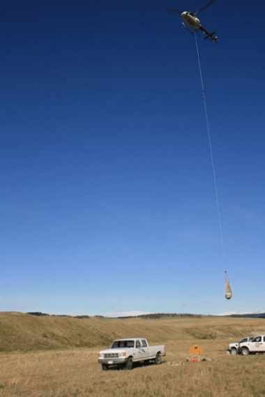 두개골의 일부가 발굴지에서 헬리콥터로 운반되고 있다. Photograph: Royal Tyrrell Museum, Drumheller, Alberta