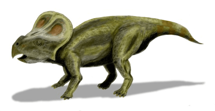 노부 타무라의 프로토케라톱스 복원도 (http://spinops.blogspot.com) CC BY 2.5 via Wikimedia Commons http://commons.wikimedia.org/wiki/File:Protoceratops_BW.jpg#/media/File:Protoceratops_BW.jpg