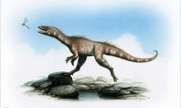 Credit: Bob Nicholls/National Museum of Wales