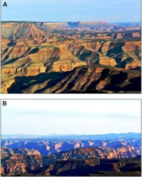 달링과 위플의 논문 중 그림 2. 트윈포인트 전망대에서 찍힌 사진 (A) 남동쪽 전경. 새넙 고원 위에 위치한 시비츠 고원 급경사면이 보인다. (B) 남쪽의 전경으로 새넙 고원이 앞쪽에, 후알라파이 고원이 뒤쪽에 보인다. Credit: Photographs taken from Twin Point overlook by Rich Rudow; Geosphere, 10 June 2015.