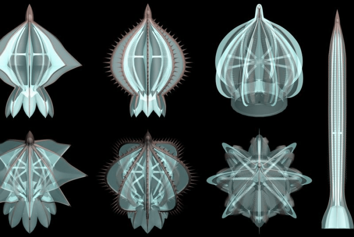 (Dr. Qiang Ou and his colleagues)