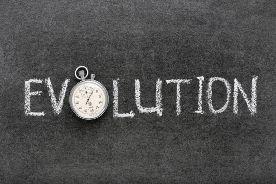 웁살라 대학의 연구자들은 진화가 우리가 모델로 생각해왔던 것보다 더 복잡하며 '생명의 나무’ 가 사실은 덤불에 더 가까우리라는 것을 밝혀냈다. Credit: ⓒ Yury Zap / Fotolia