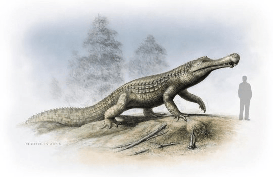 멸종한 악어인 사르코수쿠스의 모습 Credit: Imperial College London and Robert Nicholls (Paleocreations)