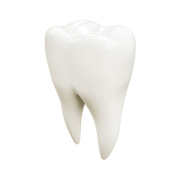 치아 (stock illustration) Credit: © KristijanZontar / Fotolia