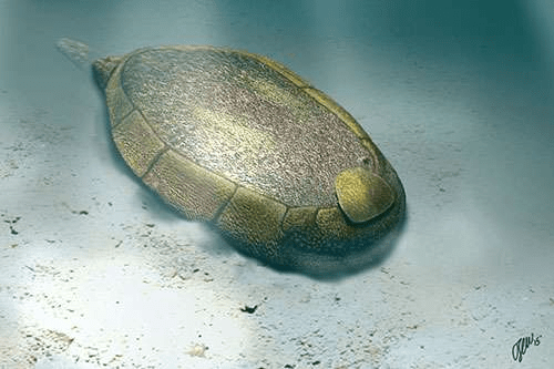 프로토킨크투스 만실라엔시스 (Protocinctus mansillaensis) 의 살아있을 때 모습. Credit: O. Sanisidro