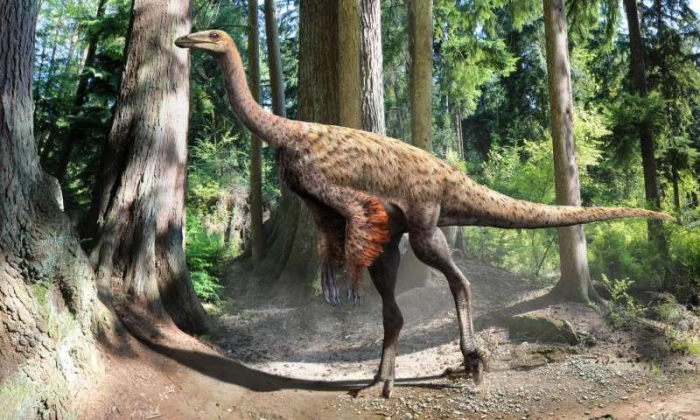 20151029 ornithomimus