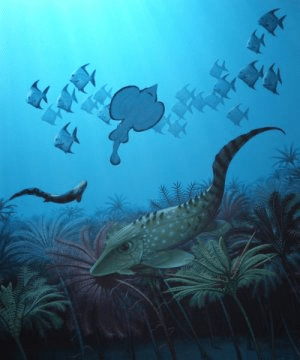 한겐버그 대량멸종 이후 큰 물고기들은 대부분 멸종하고 작은 물고기들이 바다를 지배하게 되었다. Credit: Bob Nicholls