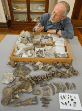 이완 포디스 교수. Credit: Image courtesy of University of Otago